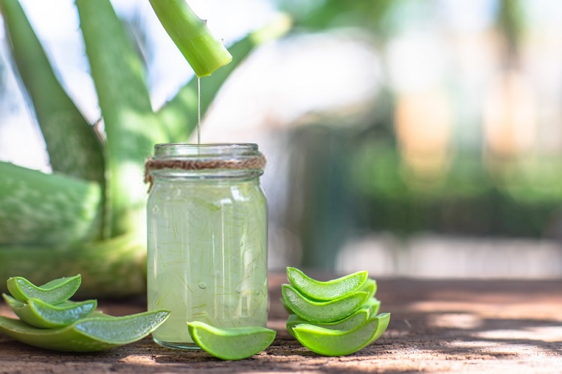 Properties-and-benefits-of-aloe-vera-Health-Benefits