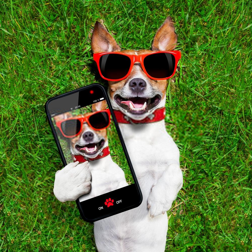 Tips to Look Good in Photos