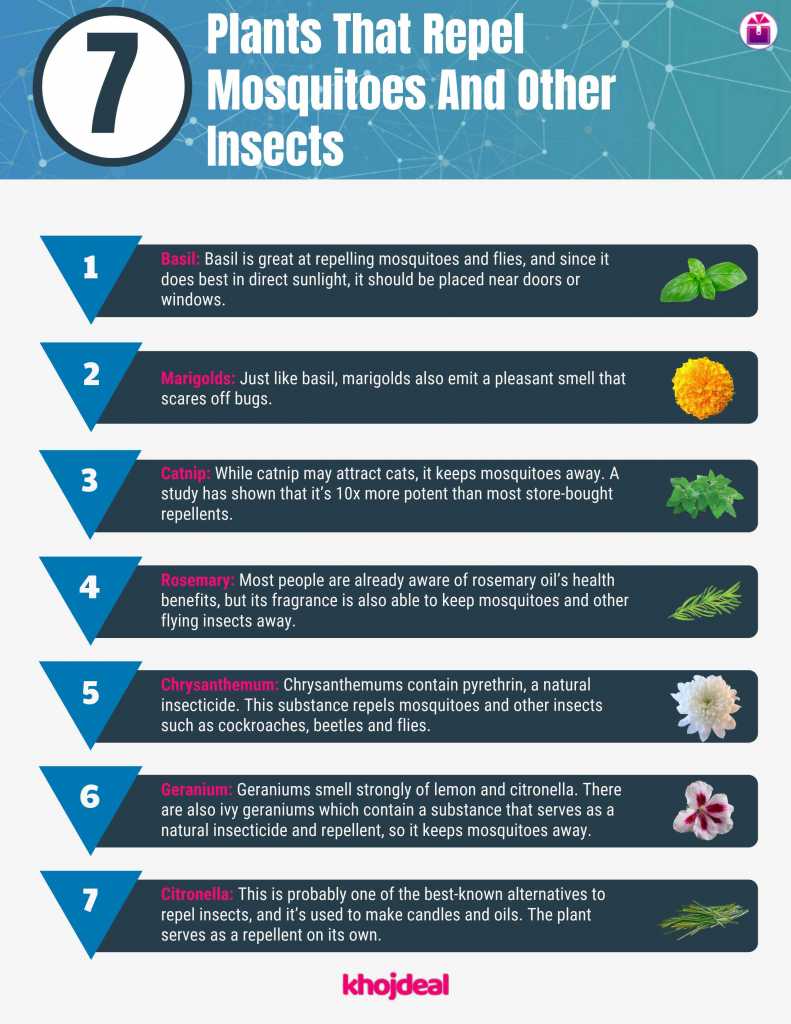 Top 10 Best Electronic Mosquito Killers In India