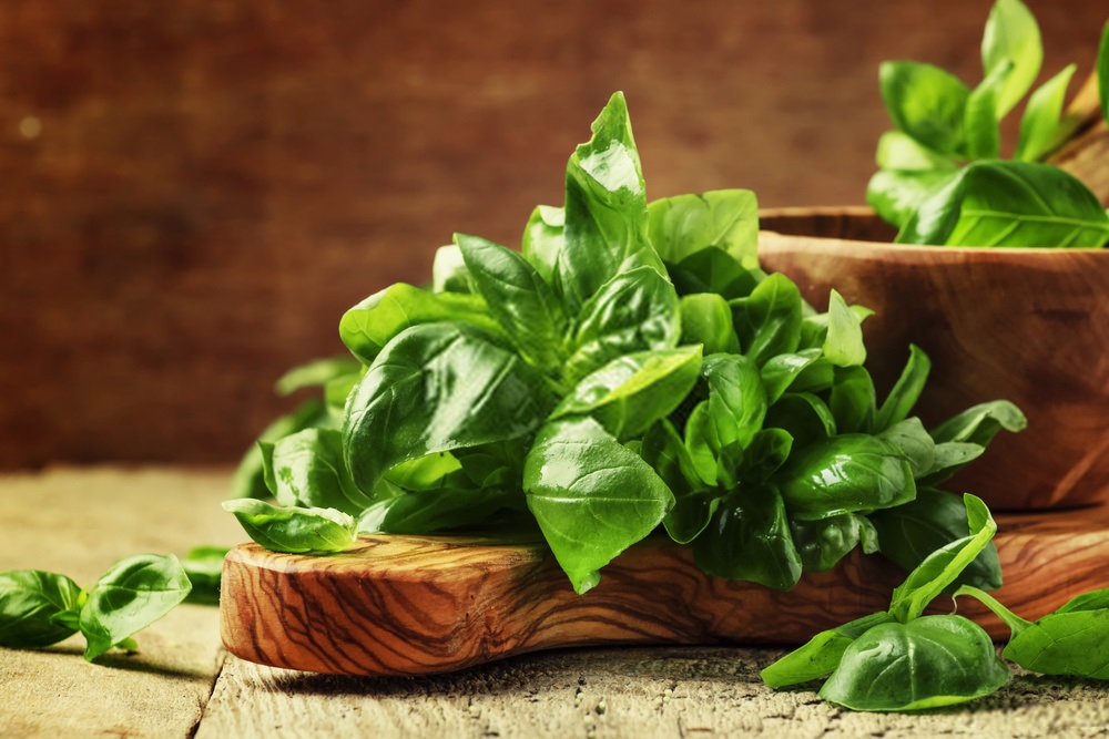 Basil